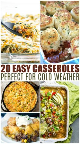 20 Easy Casseroles Perfect For Cold Weather - Mamanista!